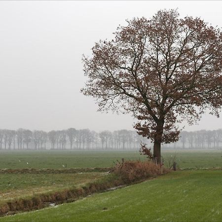 Villa Grace Dalfsen Bagian luar foto
