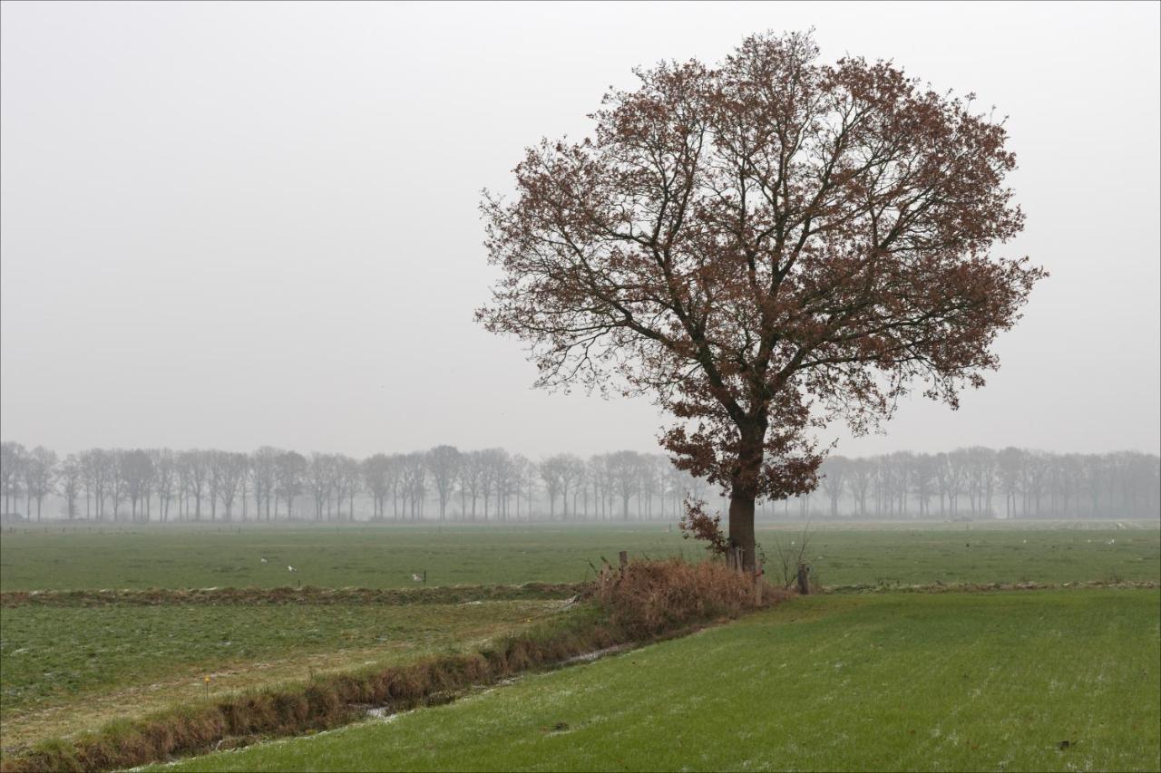 Villa Grace Dalfsen Bagian luar foto